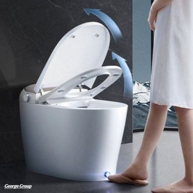 Australian Toilets