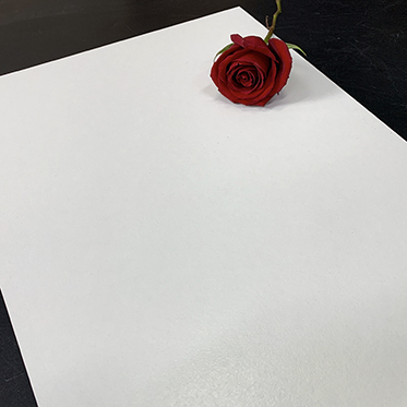 300x600 Pure Super White Glossy Polished Ceramic Bathroom Wall 12x24 Matt Porcelain Vitrified Floor Tiles