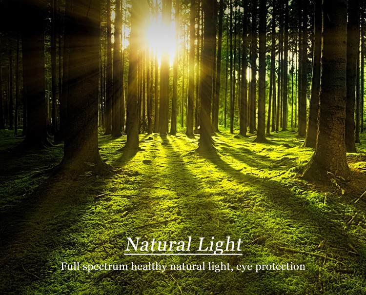 Nordic Modern Indoor Gold Black Luxury K9 Crystal Glass Hotel Bedroom Bedside LED Wall Lamp Light