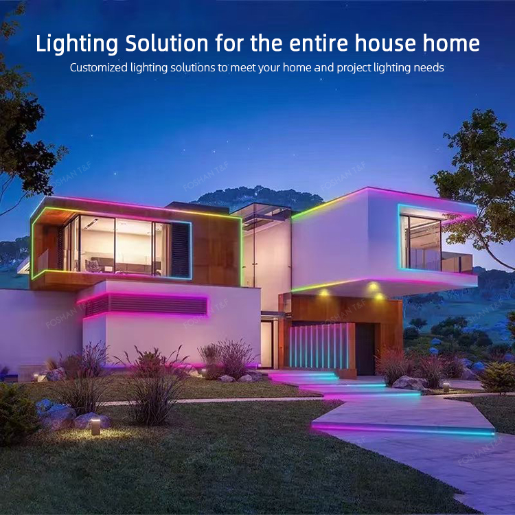 Custom 12V 24V Flexible Waterproof Indoor Silicone Flex 2835 LED Neon Rope Strip Light for Outdoor Home Decoration