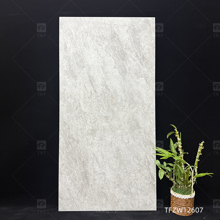 Luxury Matte Glazed 24x48 Porcelain Tiles Stone Effect for Floor and Wall Carrelage Pour Sol 1200x600