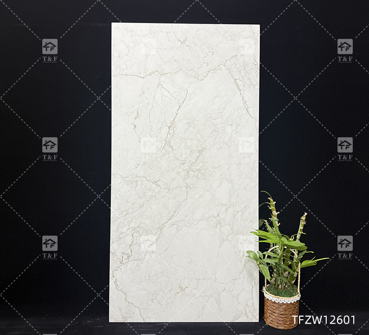 Luxury Matte Glazed 24x48 Porcelain Tiles Stone Effect for Floor and Wall Carrelage Pour Sol 1200x600