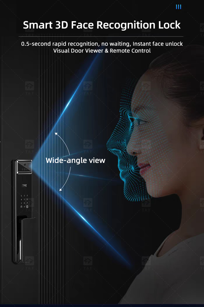 Modern Design Cast Aluminum Alloy Security Entry Door with Anti-Theft Lock for Exterior Use in Apartments and Villas